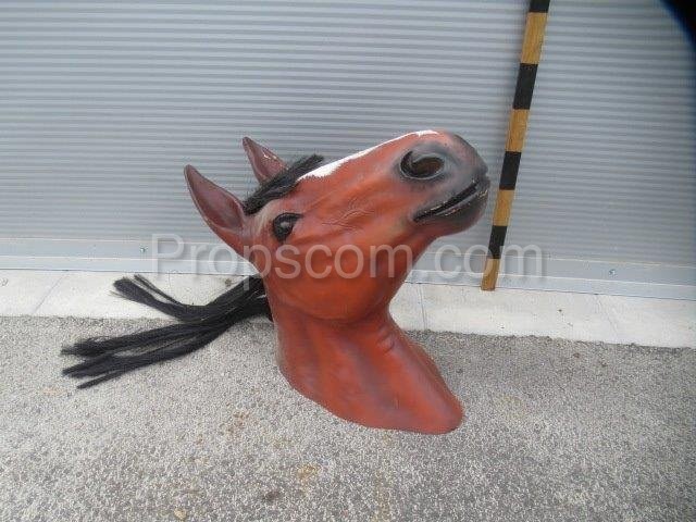 Horse head