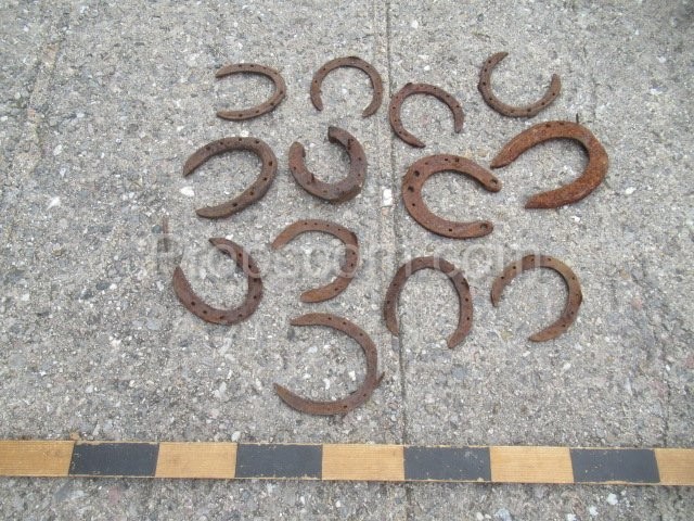 Horseshoes