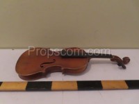 Violin