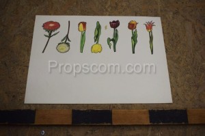 School poster - Flowers