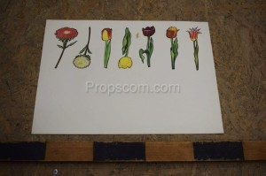 Školní plakát - Květiny 