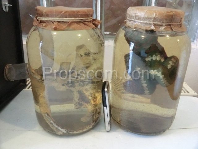 Reptiles formaldehyde - props