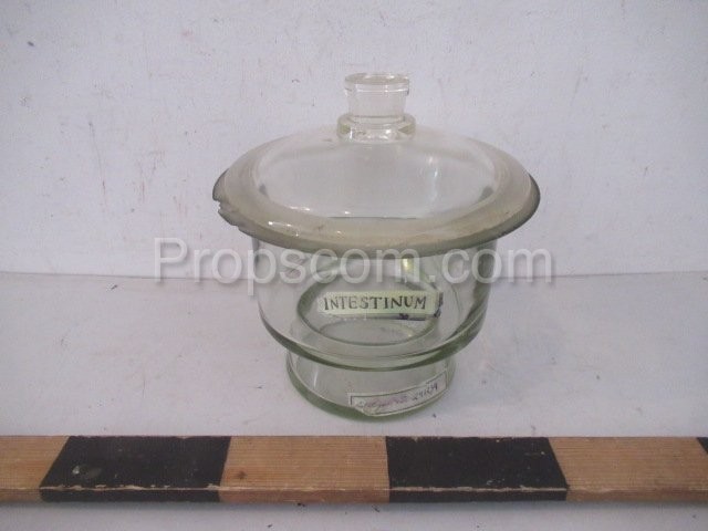 Glass tray with lid