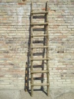 bound ladder