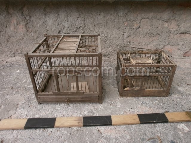 Wooden cage mix