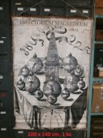 DIRECTORIUM MAGNETICUM - poster