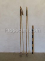 Ski poles