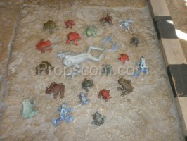 Various frogs