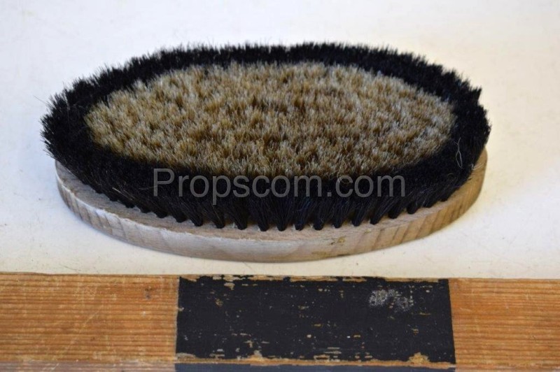 Shoe brush