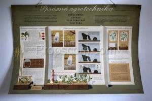 School poster - Proper agrotechnics