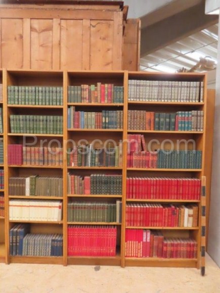 Shelves with books