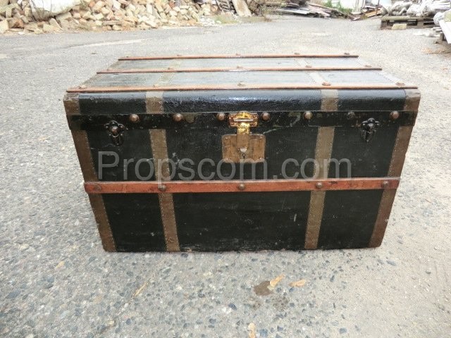 Ship's trunk