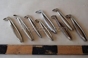 Dental forceps