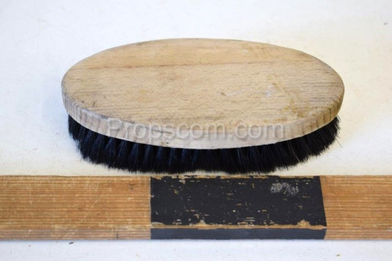 Shoe brush