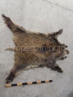 Boar skin