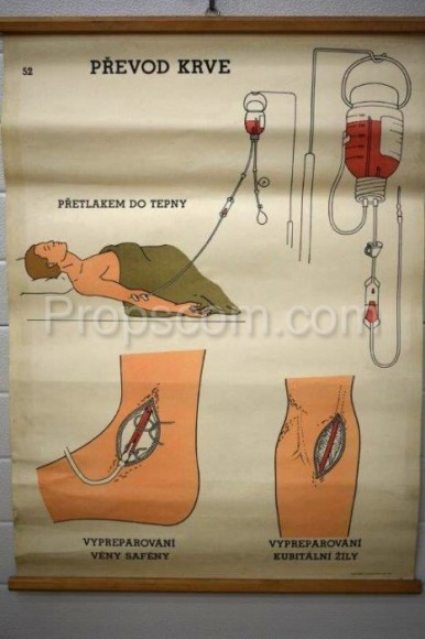 School poster - Blood transfer