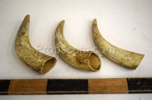 Cow horns