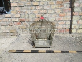 Square wire cage