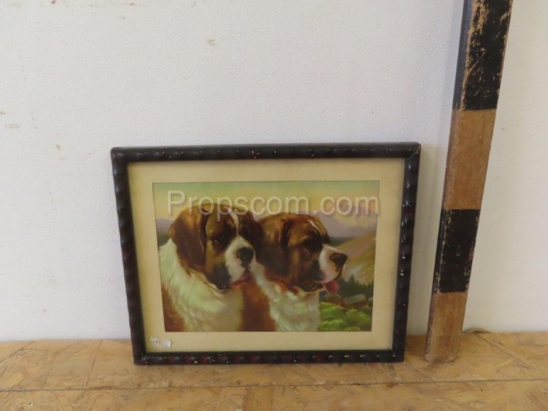 Two Bernardines print in a frame