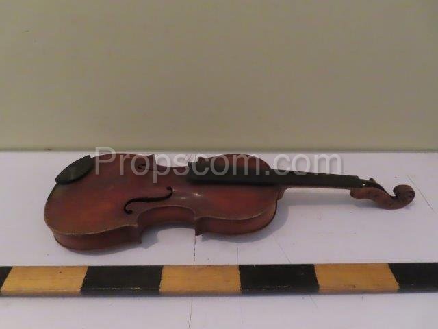 Violin