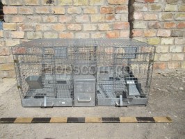 Wire galvanized cage