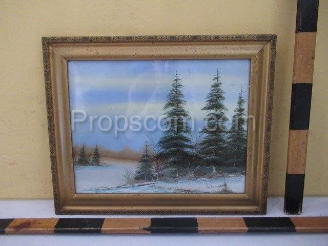 Landscape image of spruce