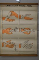 School poster - Finger bandage