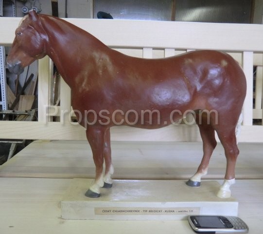 School educational model horse