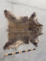 Boar skin