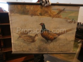 School poster - Pheasant