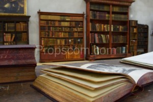 Shelves with books