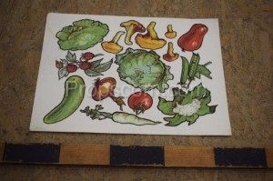 School poster - Vegetables