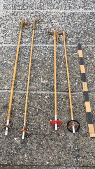 Bamboo ski poles