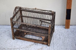 Wire cage