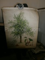 School poster - Tree