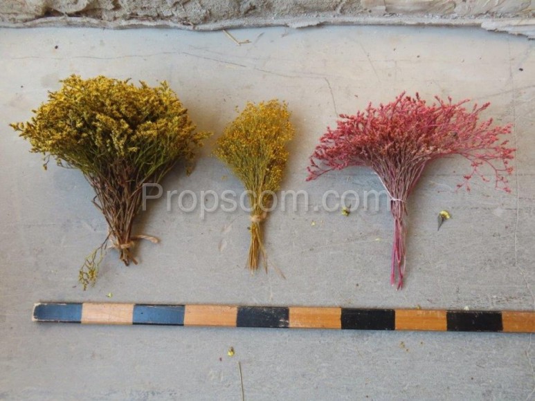 Dried flowers