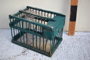 Wire cage green