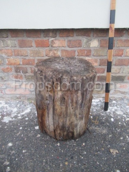 Wooden log