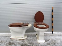 Toilet with wooden lid