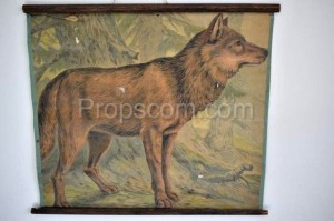 School poster - Wild dog