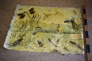 School poster - Dragonflies