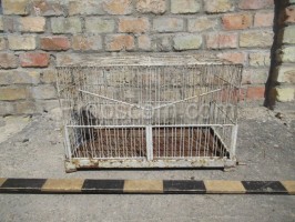 Wire cage white