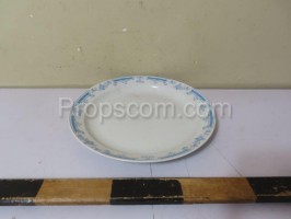 Porcelain plate