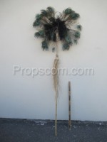 Peacock feather fan Africa - theatrical scenery