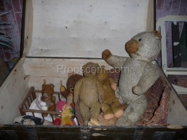 Teddy bears various