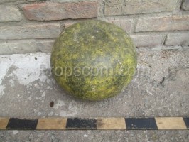 Wassermelone