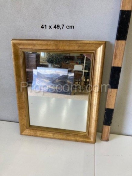 Mirror in a gold frame