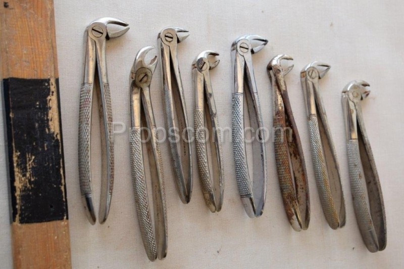 Dental forceps