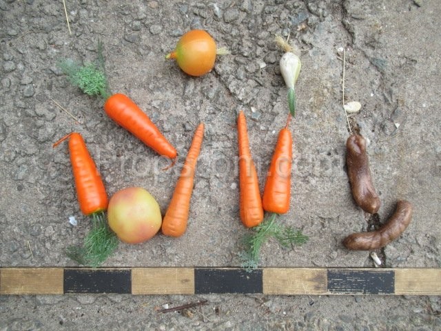 Root vegetables