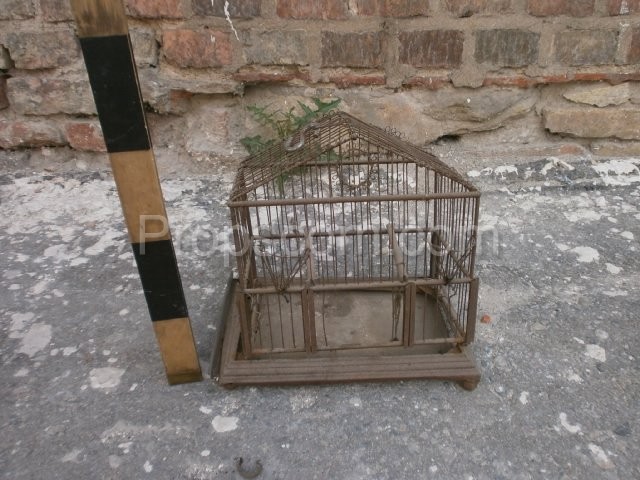 Wire cage